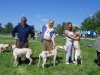 Classe champion: (pitchoune, orhy, salsa)